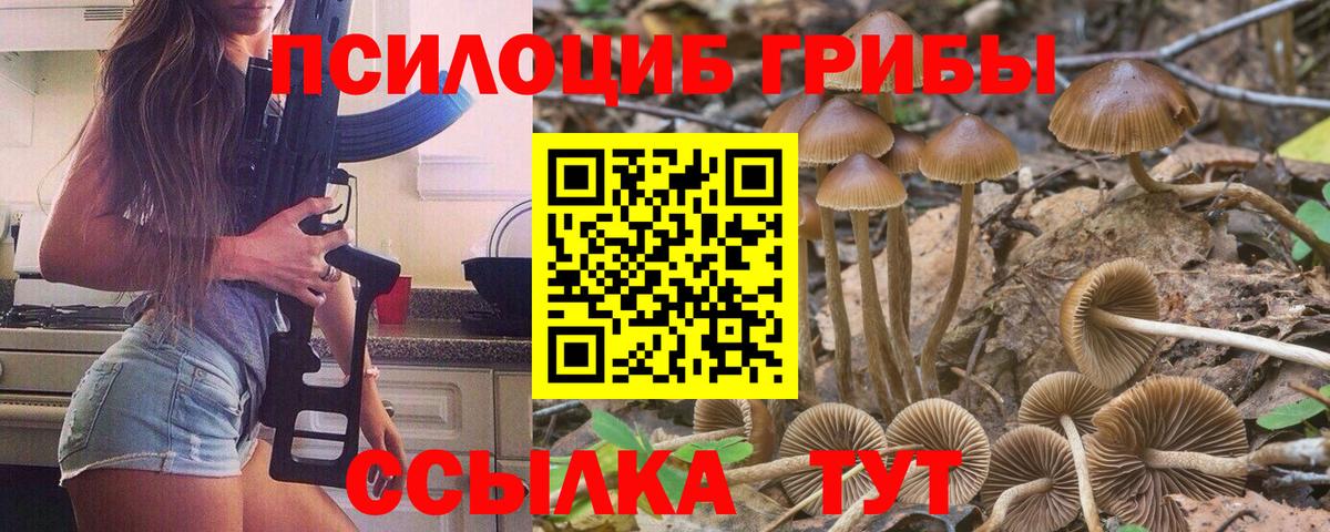 Кыштым  Галлюциногенные грибы Psilocybe  Галлюциногенные грибы мицелий  Вход с VPN 